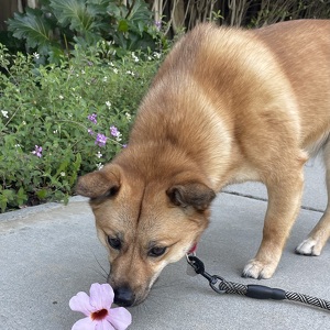 Fundraising Page: Cathy Hagan